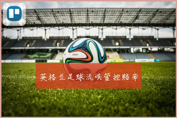 英格兰足球流氓管控赔率