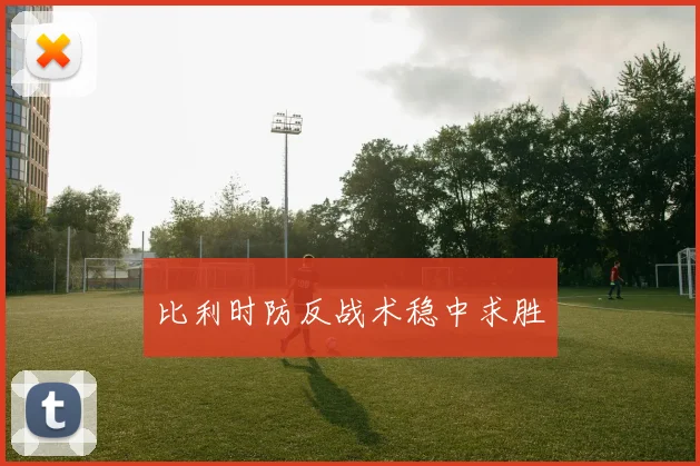 比利时防反战术稳中求胜