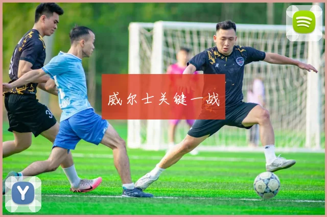 威尔士关键一战