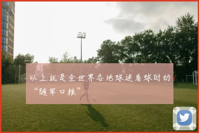 以上就是全世界各地球迷看球时的“随军口粮”