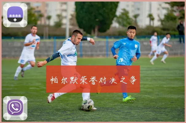 帕尔默荣誉对决之争