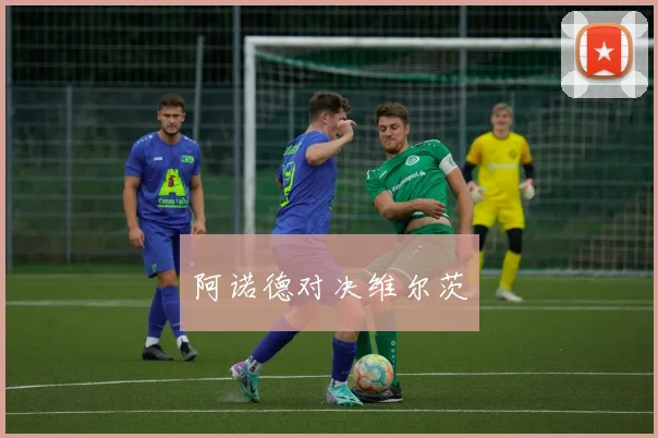 阿诺德对决维尔茨