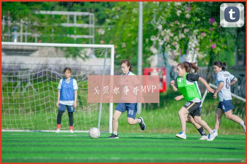 戈贝尔争夺MVP