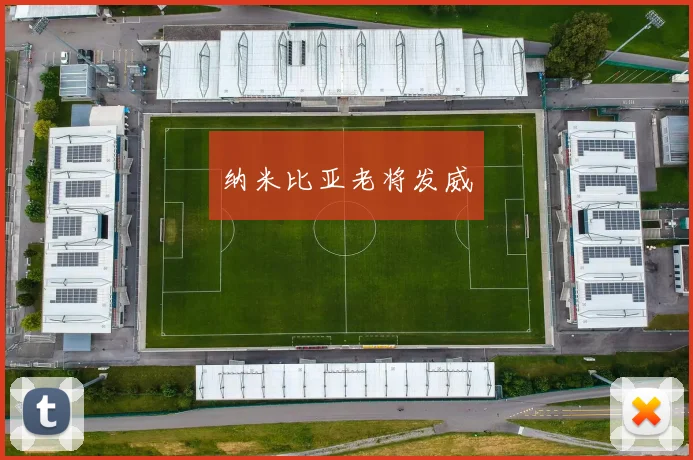 纳米比亚老将发威