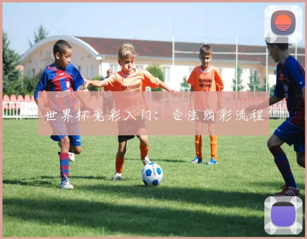 世界杯竞彩入门：合法购彩流程