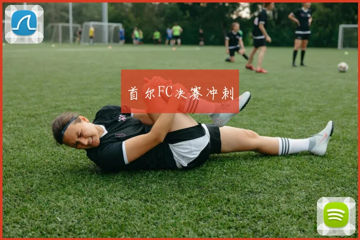 首尔FC决赛冲刺