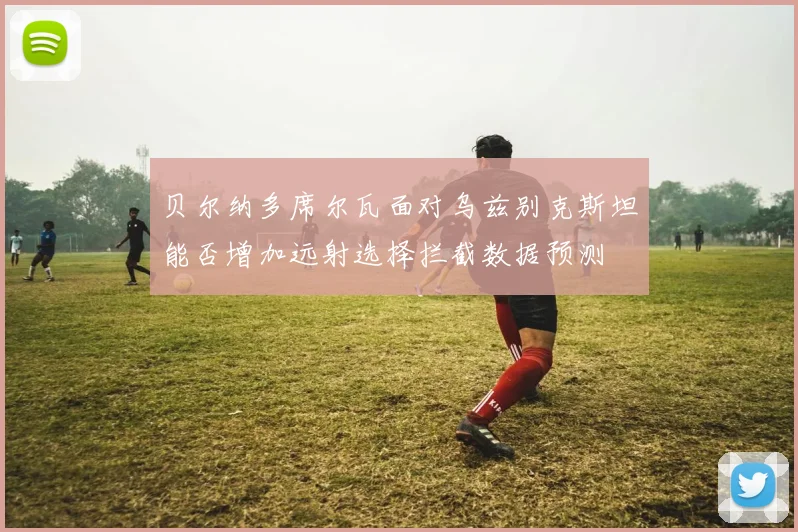 贝尔纳多席尔瓦面对乌兹别克斯坦能否增加远射选择拦截数据预测