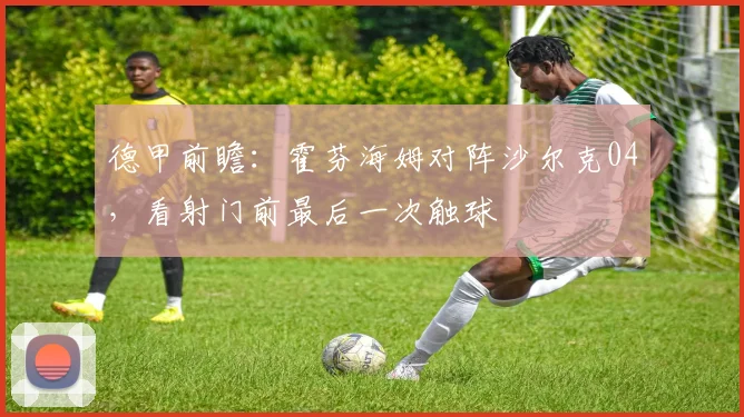 德甲前瞻：霍芬海姆对阵沙尔克04，看射门前最后一次触球