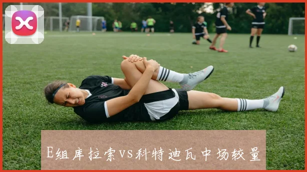 E组库拉索vs科特迪瓦中场较量