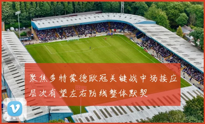 聚焦多特蒙德欧冠关键战中场接应层次有望左右防线整体默契