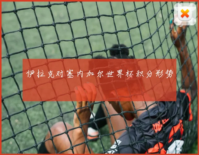 伊拉克对塞内加尔世界杯积分形势