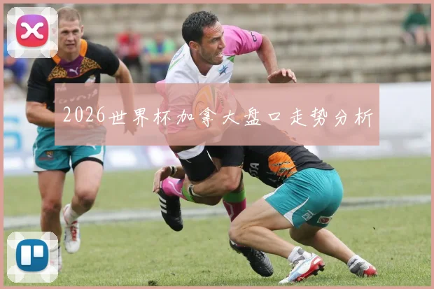 2026世界杯加拿大盘口走势分析